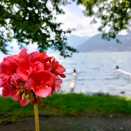 Patty's Sweet - Affitti Brevi Italia *